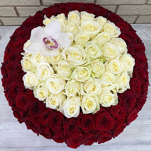 101 роза и орхидея в бархатной коробке