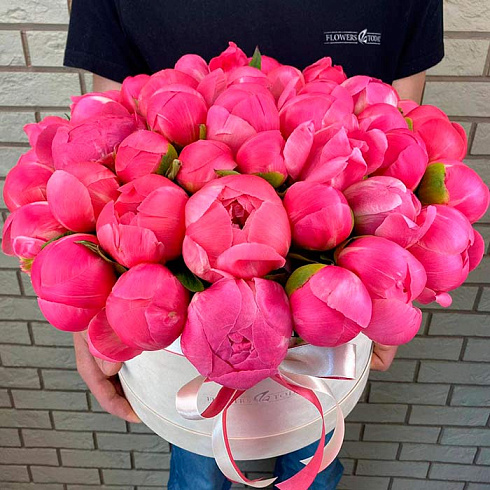 Коралловые пионы в коробке