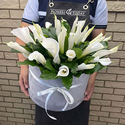 Белые каллы в коробке