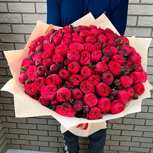 101 красная пионовидная роза