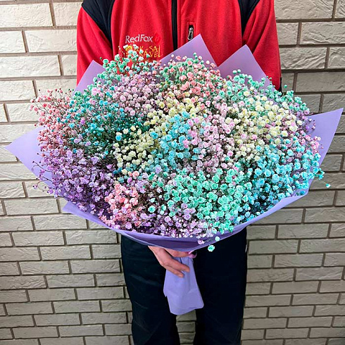 25 радужных гипсофил