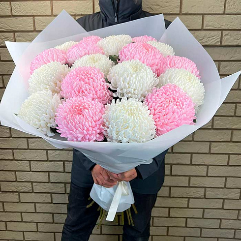 19 крупных хризантем микс