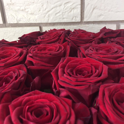 31 красная роза