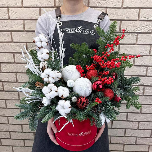 Живая ель, илекс, хлопок в коробке