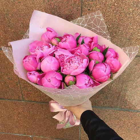 Малиновые пионы