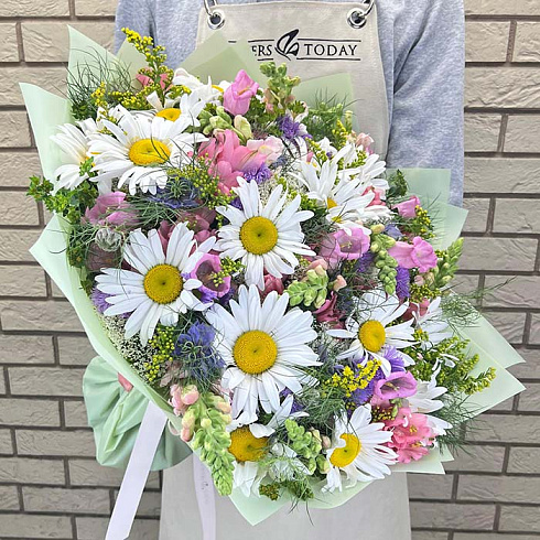 Полевые цветы из ромашек, астр и кампанул