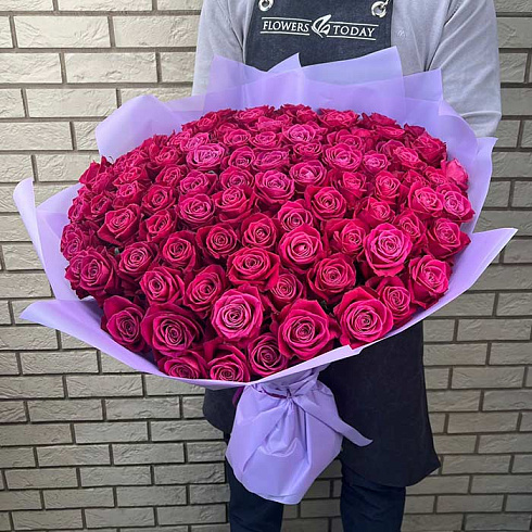 101 роза цвета фуксия, 60см