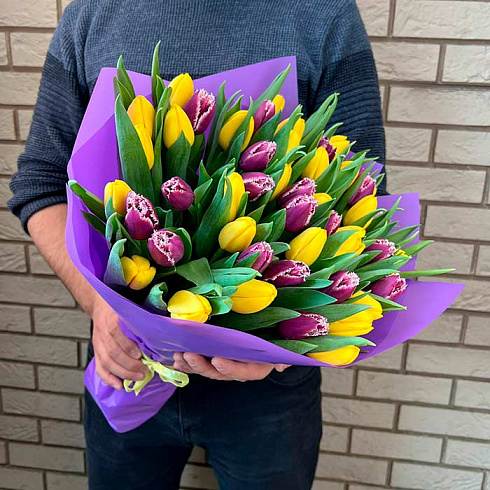 Фиолетовые и желтые тюльпаны микс