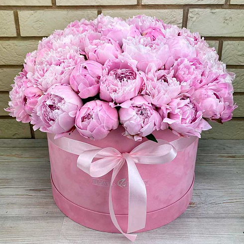 51 розовый пион в коробке