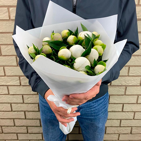 Белые пионы в упаковке