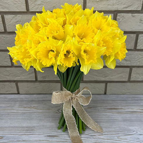 Желтые нарциссы