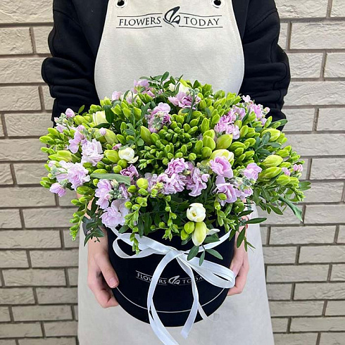 Маттиолы и фрезии