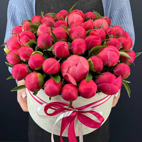 Коралловые пионы в коробке
