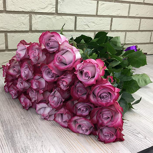 25 пурпурных роз