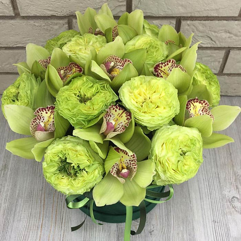 Зеленые пионовидные розы с орхидеями в бархатной коробке