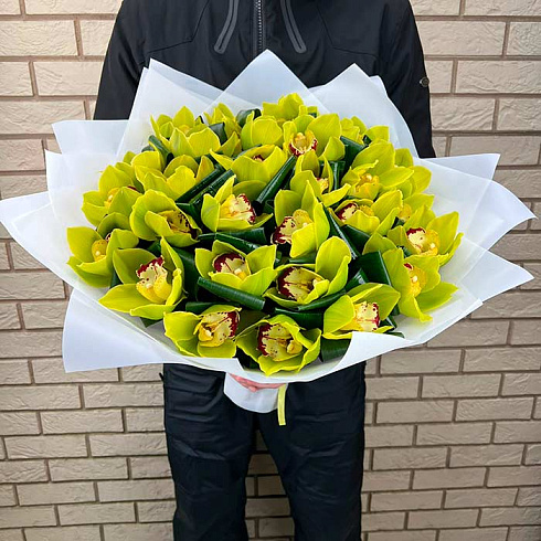 Зеленые орхидеи