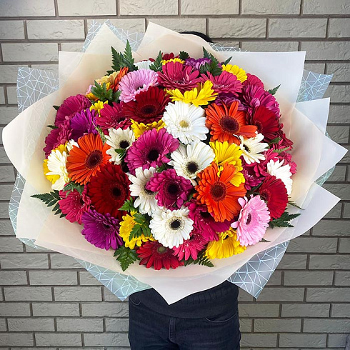 Герберы разных цветов
