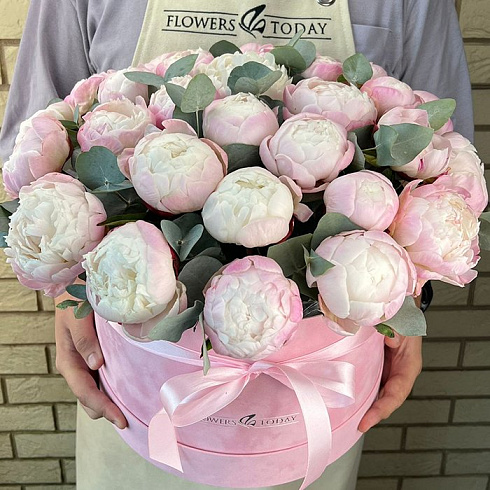 Розовые пионы и эвкалипт в коробке