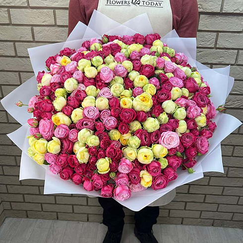 101 пионовидная роза микс