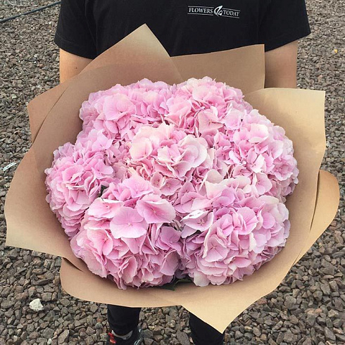 Розовые гортензии в крафте