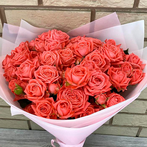 Коралловые кустовые розы