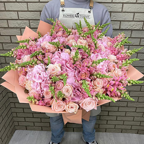 Гортензии, пионовидные кустовые розы, антирринум