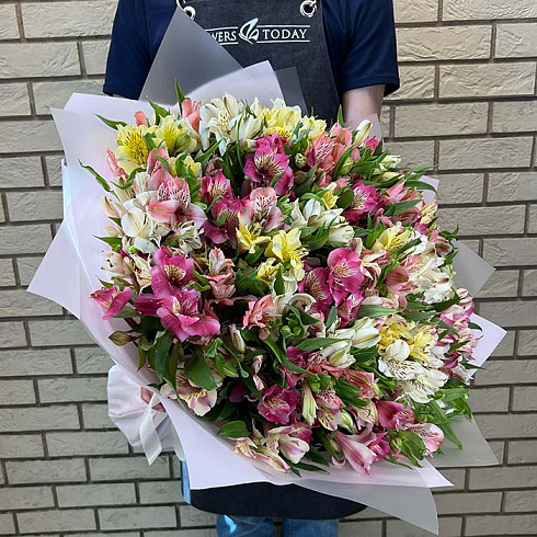 Альстромерии микс