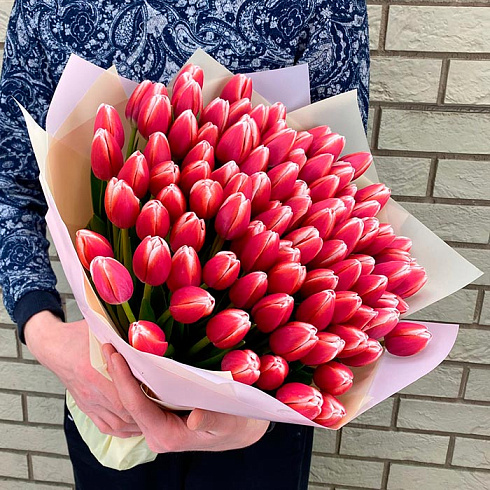 101 темно-розовый тюльпан