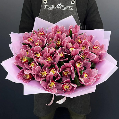 Розовые орхидеи с зеленью