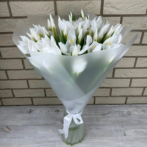 Белые ирисы