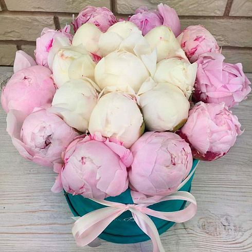 19 розовых и белых пионов в коробке