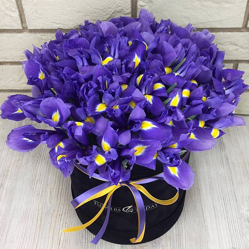 Ирисы в коробке