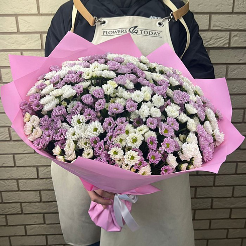 49 хризантем