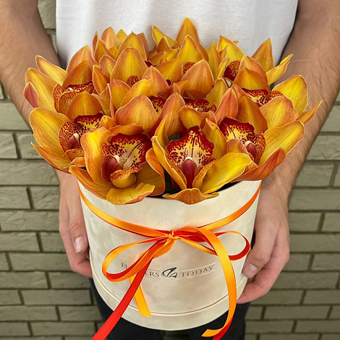 Оранжевые орхидеи в коробке