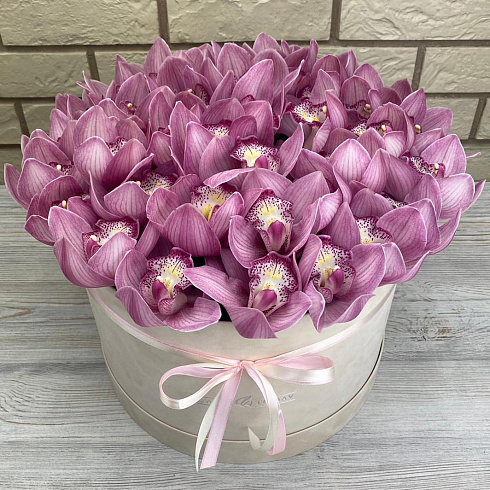 Розовые орхидеи в коробке