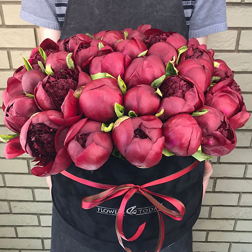 39 красных пионов в черной бархатной коробке