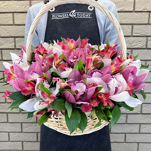 Яркая корзина орхидей с альстромерией