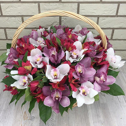 Яркая корзина орхидей с альстромерией