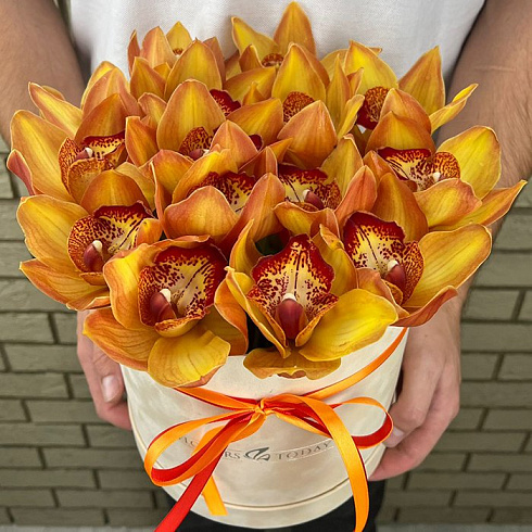 Оранжевые орхидеи в коробке