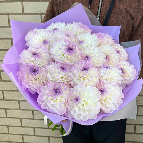 Георгины в дизайнерской упаковке