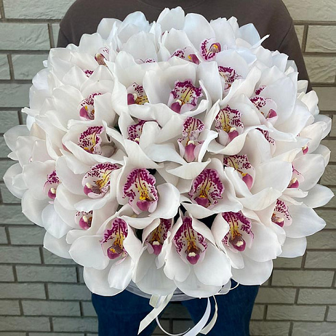 Орхидеи белые в бархатной коробке