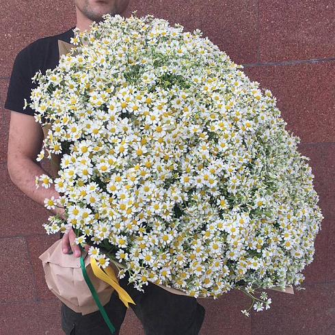 201 ромашка в крафте