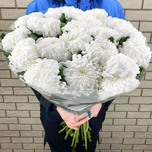 Пышные белые хризантемы