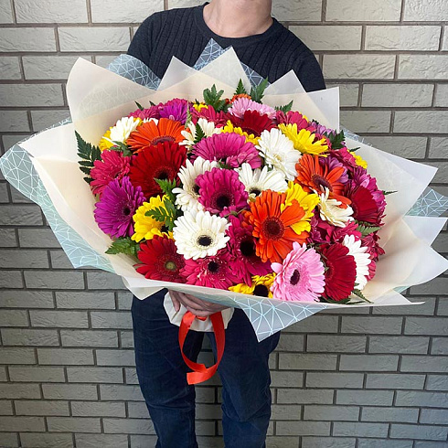 Герберы разных цветов