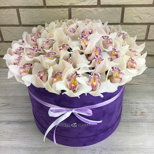 Белые орхидеи в бархатной коробке