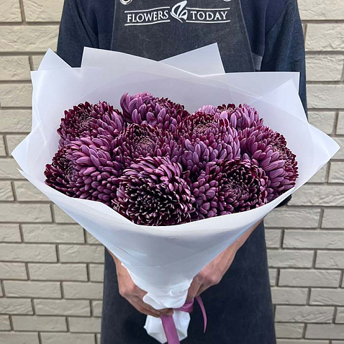 Крупные хризантемы