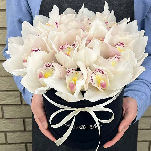 21 белая орхидея в черной коробке