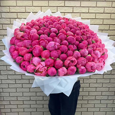 151 коралловый пион