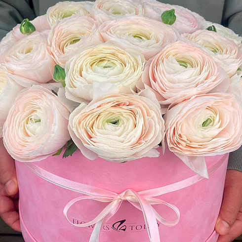 29 ранункулюсов в розовой коробке