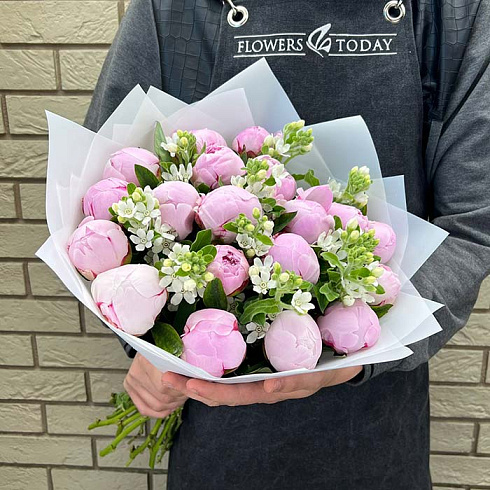 Розовые пионы и белый оксипеталум